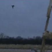 Video5 Flv