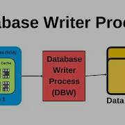 Database Writer Process DBW Oracle Database DBA Tutorial