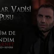 Kurtlar Vadisi Pusu Öldüm De Uyandım Klarnet Slowed Reverb HD