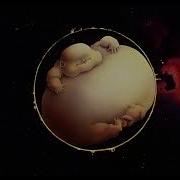 Monty Python S The Meaning Of Life Intro HD