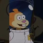 Squidward Punches Sandy