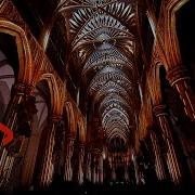 800 Year Old Belgium Cathedral Illuminated With Spectacular Light Show