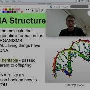 DNA Structure Function Life Science Biology HS LS1 1