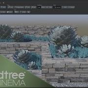 Succulent Garden Speedtree Cinema 9 Tutorial