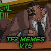 TF2 MEMES V75