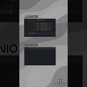 Junior Vs Senior Developer Webdevelopment Coding