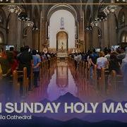LIVE Palm Sunday Mass At The Manila Cathedral March 29 2026