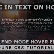 Fade In Text Hover Effect CSS Mix Blend Mode Html5 CSS3 Hover Effects