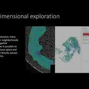 Interactive Visualization And Quality Assessment Of Large Scale Spatial Omics Data