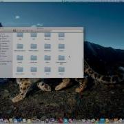 X264 Encoder