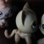 Lps MV Titanium