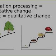 Information Processing Child Development Cognitive ECHD 2435 UTC Meece