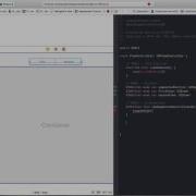 81 Basic Segmented Control Code Sample