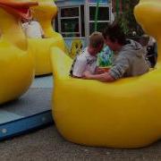 Roller Coaster Accident Crazy Duck
