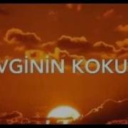 SEVGININ KOKUSU THE SCENT OF LOVE