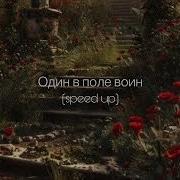 BEARWOLF Один в поле воин Speed Up