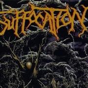 Greatest Albums Of 1995 Suffocation Pierced From Within