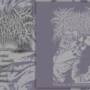 ABSCESSPOOL Display Of Retaliation Tactics Full Demo 2020