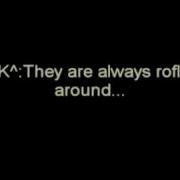 Roflcopter