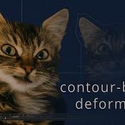 Contour Based Deformation