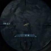 Crysis WTF Frogs