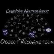 Object Recognition Cognitive Neuroscience