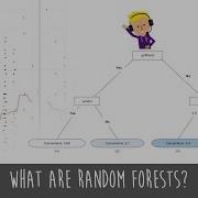 What Are Random Forest Models Simple Explanation