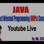 Object Oriented Programming OOPs Concepts In Java By Durga Sir