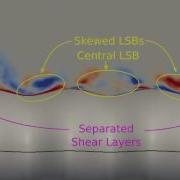 Streamwise Vorticity Evolution