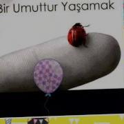 Kıraç Sevgilim