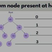 Maximum Node Present At Height H Of Binary Tree Binarytree Tree Data Structure