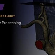 3D Image Processing Of Artery In Simpleware