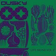 Dusky Metropolis 360p