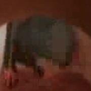 Ratatouille Trailer