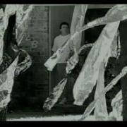 Foiled Again Avi