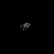 Purgatori Best Part Looped