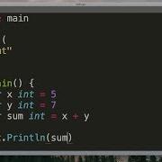 Learn Go In 12 Minutes