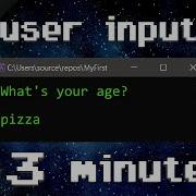 C User Input