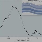 PSC3008 Orientation Tuning