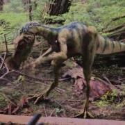Evolution Primeval New World Creatures