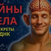 Все СЕКРЕТЫ эволюции ЧЕЛОВЕКА за 1 ЧАС ДНК гены неандертальцы и вирусы Homo Sapiens