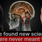 Neurocercetătorul Tara Swart Dovezi Incredibile Că Putem Comunica După Moarte