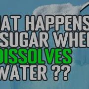 The Dissolution Process Explained What Happens To Sugar When It Dissolves In Water