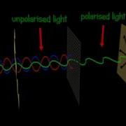 Polarization Polarizer Explained And Animated 3d