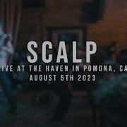 197 Media Scalp 08 05 2023