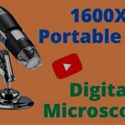 Reviewing Of Microscope 1600X Microscope Digital Magnifier With USB Interface UPDATED 2021