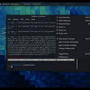 Mastering Shellerator Simplifying Reverse Bind Shells With One Liners