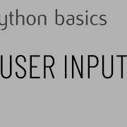 Python Basics User Input