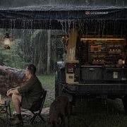 RELAXING Solo Camping In RAIN With My Dog Gloomy Weather Cozy Shelter ASMR