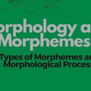 Morphology And Its Types In Linguistics Morphemes And Morphology Morphological Process